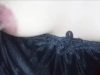 82f673f8dfa7c679341a46ed586cf9c6.jpg